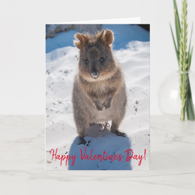 Happy Valentine's Day Cute Quokka on the Beach Card (Front)