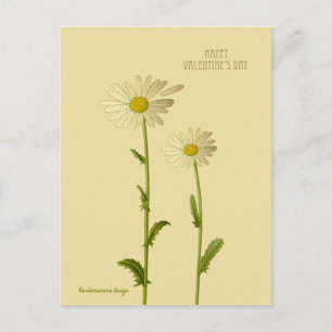 Happy Valentine's day - Daisy flower Holiday Postcard