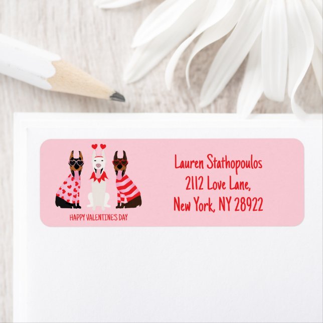 Happy Valentines Day Dobermann Dogs (Insitu)