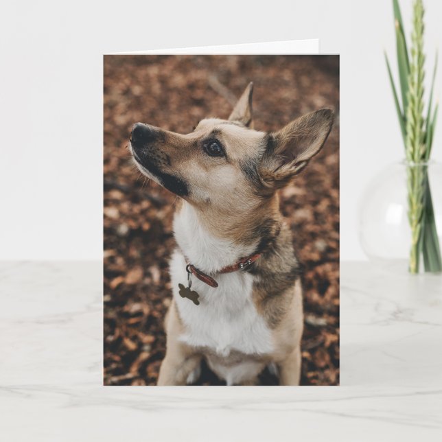 Happy Valentine's Day | Dog Face | Add Your Name Thank You Card (Front)