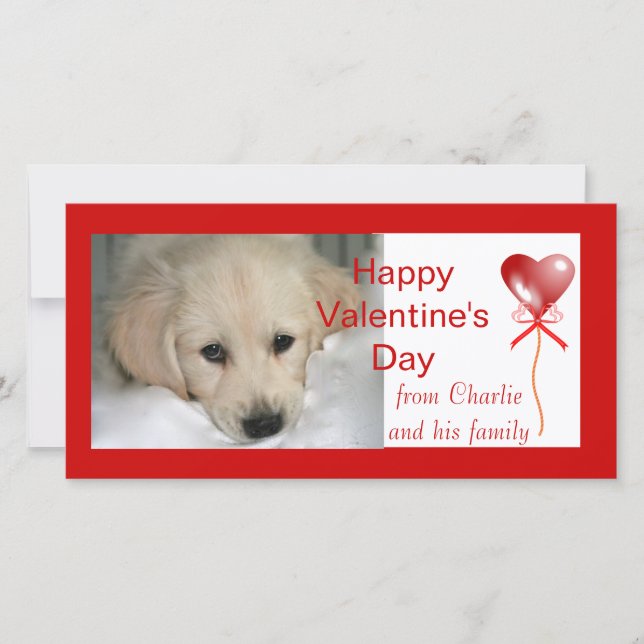 Happy Valentine's Day Dog Photo Cards (Front)