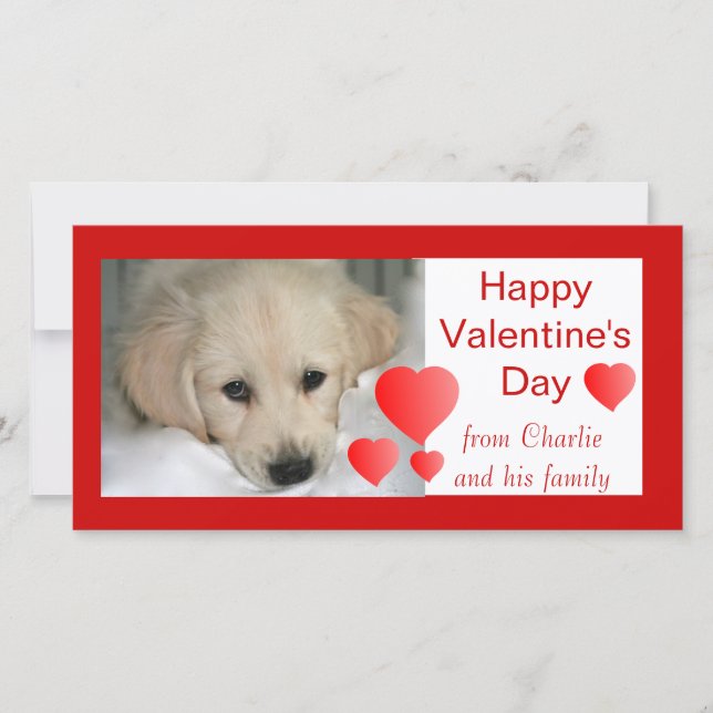 Happy Valentine's Day Dog Photo Cards (Front)