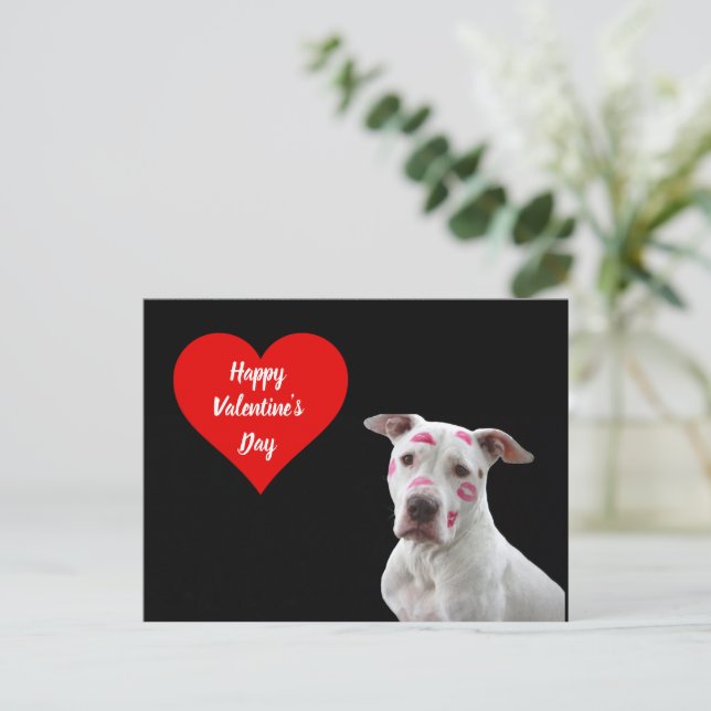 Happy Valentine's Day Dog postcard (Standing Front)
