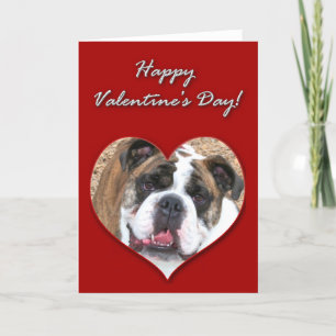Happy Valentine's Day English bulldog card