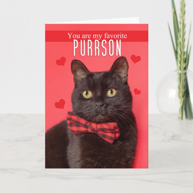 Happy Valentine's Day Favourite PURRson Cute Cat Holiday Card (Front)