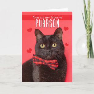 Happy Valentine's Day Favourite PURRson Cute Cat Holiday Card