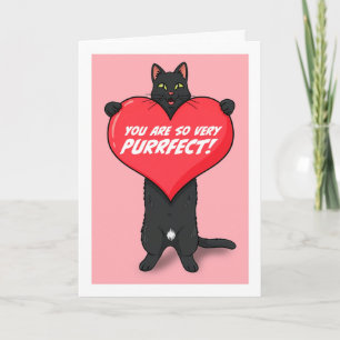 Happy Valentines Day For Anyone Cat Holding Heart  Holiday Card