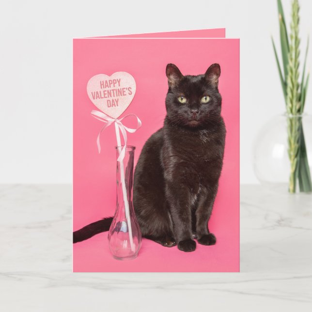 Happy Valentines Day For Anyone Cute Black Cat Holiday Card (Front)