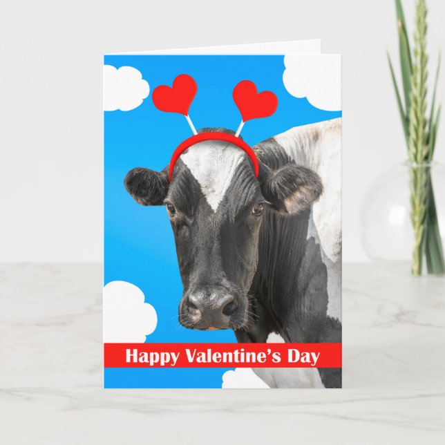 Happy Valentine's Day For Anyone Cute Cow Humour  Holiday Card (Front)
