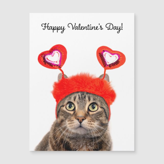 Happy Valentine's Day For Anyone Tabby Cat   (Front)
