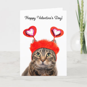 Happy Valentine's Day For Anyone Tabby Cat  Holiday Card