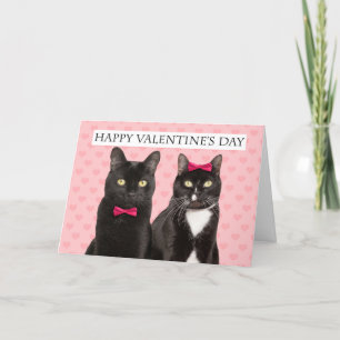 Happy Valentine's Day For Couple Two Cats Humor  Holiday Card