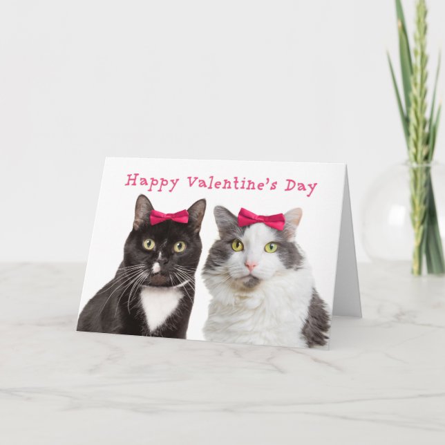 Happy Valentine's Day For Female Friend Girl Cats Holiday Card (Front)
