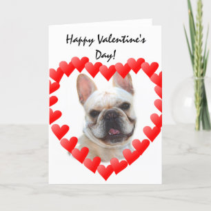Happy Valentine's Day French Bulldog greeting card