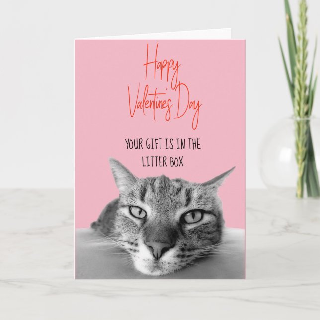 Happy Valentine's Day From Cat To Human  Funny Card (Front)