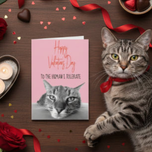 Happy Valentine's Day From Cat To Human  Funny Card