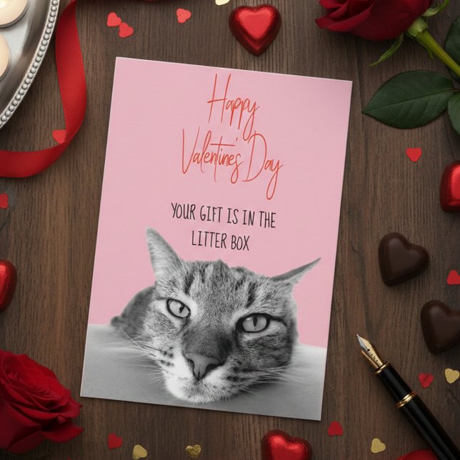 Happy Valentine's Day From Cat To Human  Funny Card (Creator Uploaded)