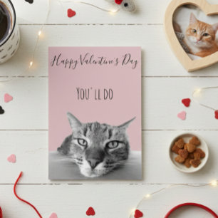 Happy Valentine's Day From Cat To Human Humour Card
