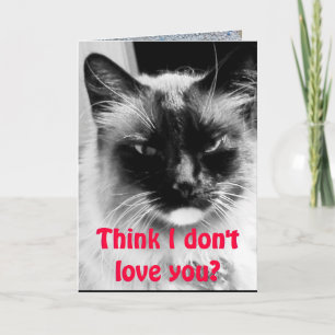 Happy Valentine's Day from the Cat Humour Holiday Card