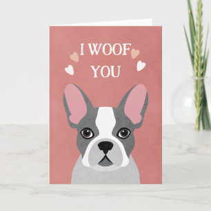 Happy Valentines Day From the Dog  Card