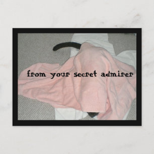 Happy Valentine's Day from the Pet Holiday Postcard