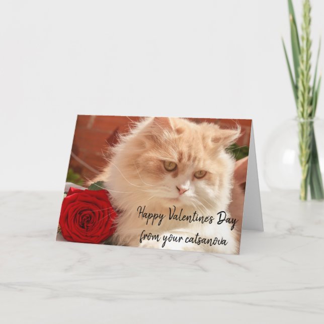 Happy Valentine's Day From Your Catsonova Cat Card (Front)