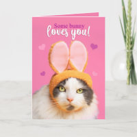 Happy Valentine's Day Funny Cat in Bunny Ears