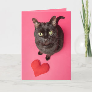 Happy Valentines Day Funny Cat With Toy Heart Holiday Card
