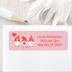 Happy Valentines Day Gnomes Red Pink