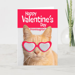Happy Valentines Day Granddaughter Cat in Glasses Holiday Card