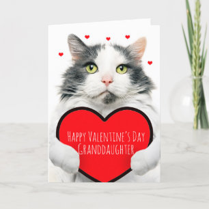 Happy Valentines Day Granddaughter Cute Cat Heart Holiday Card
