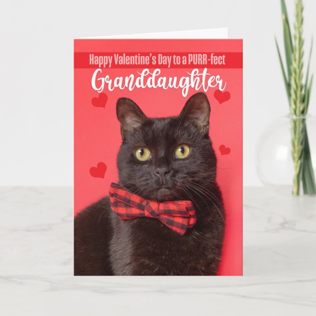 Happy Valentine's Day Granddaughter Cute Cat Holiday Card (Front)