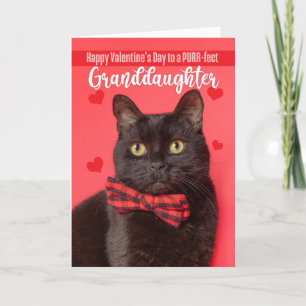 Happy Valentine's Day Granddaughter Cute Cat Holiday Card