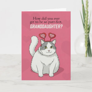 Happy Valentines Day Granddaughter Cute Cat  Holiday Card