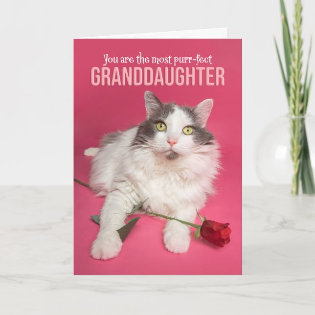 Happy Valentines Day Granddaughter Cute Cat  Holiday Card (Front)