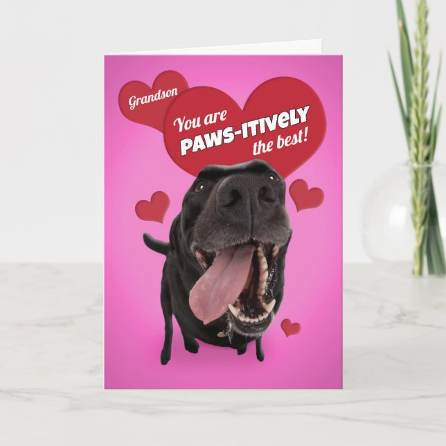 Happy Valentine's Day Grandson Funny Dog Humour Holiday Card (Front)