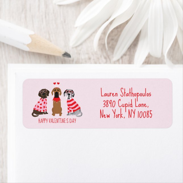 Happy Valentines Day Great Dane Dogs (Insitu)