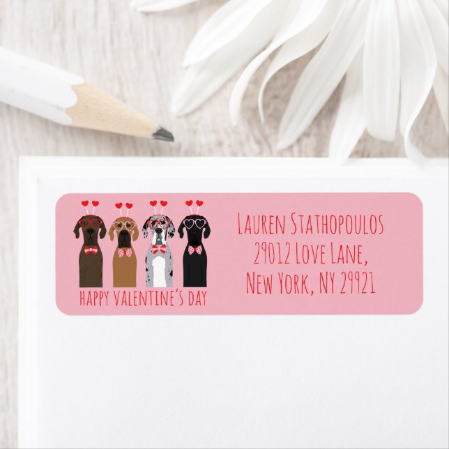 Happy Valentines Day Great Dane Dogs (Insitu)