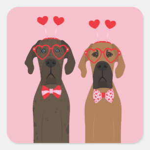Happy Valentines Day Great Dane Dogs Square Sticker