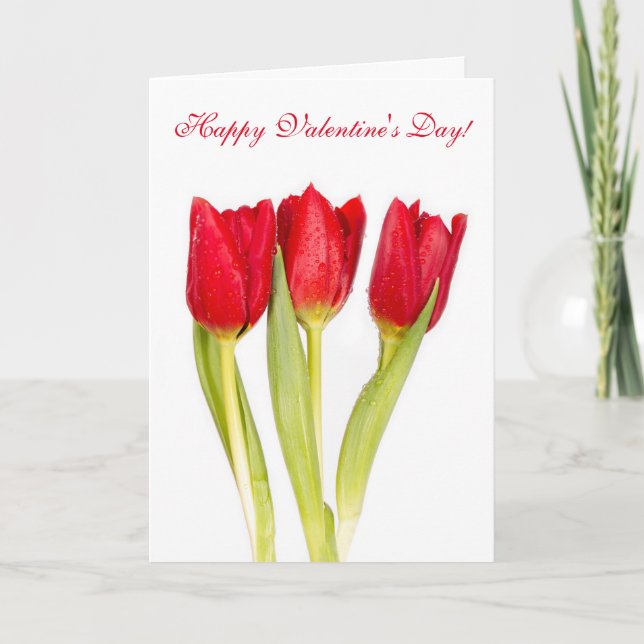 Happy Valentines Day Greeting Card (Front)