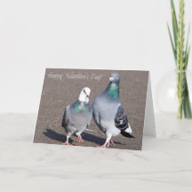 Happy Valentine's Day!