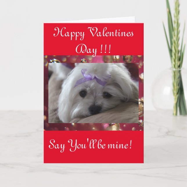 Happy Valentines Day Holiday Card (Front)