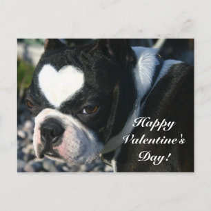 Happy Valentine's Day Holiday Postcard
