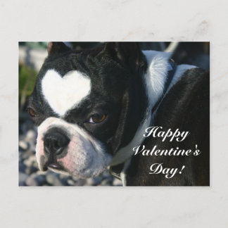 Happy Valentine's Day Holiday Postcard