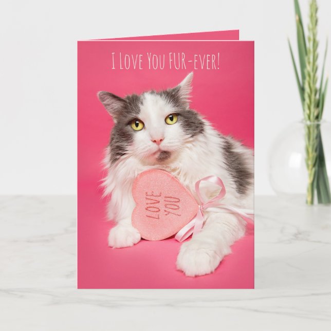 Happy Valentines Day I Love You FurEver Cat Holiday Card (Front)