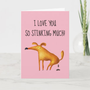 Happy Valentine's Day I love you so Stinking Much Card