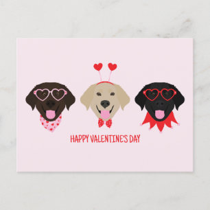 Happy Valentines Day Labrador Retriever Dogs Postcard