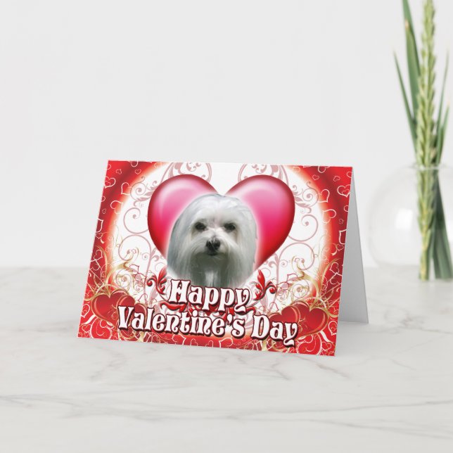 Happy Valentines Day Maltese Holiday Card (Front)