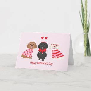 Happy Valentines Day Maltipoo Dogs Holiday Card