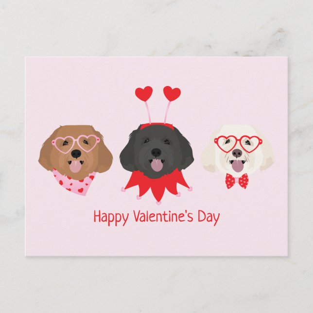 Happy Valentines Day Maltipoo Dogs Postcard (Front)